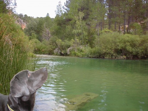 EN EL ALTO TAJO